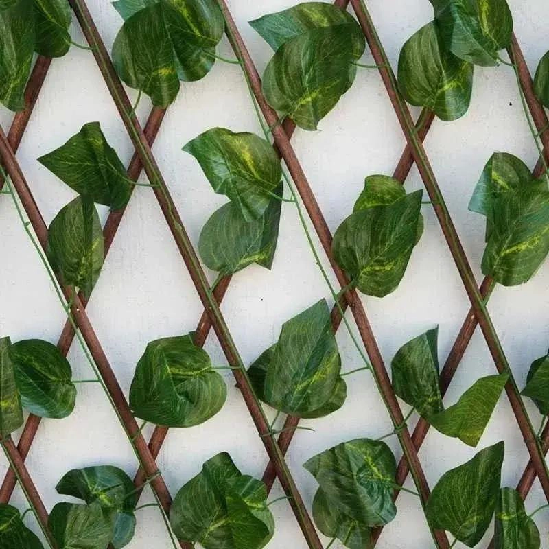 MALLA ENREDADERA EXPANDIBLE PARA JARDIN Y CERCOS - 5