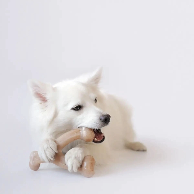 HUESO MASTICABLE SABOR TOCINO PARA CACHORROS HASTA 13 KILOS - 3