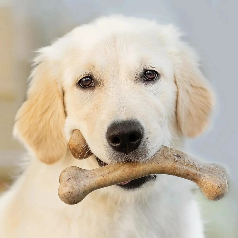HUESO MASTICABLE SABOR TOCINO PARA CACHORROS HASTA 13 KILOS - 4