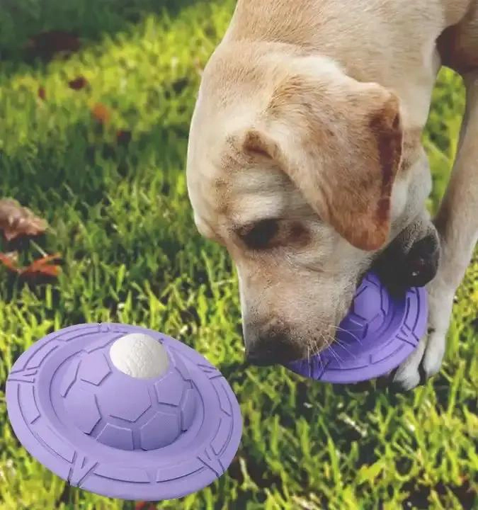 PLATILLO MORDEDOR AZUL PARA PERROS CON PELOTA INTERIOR - 3