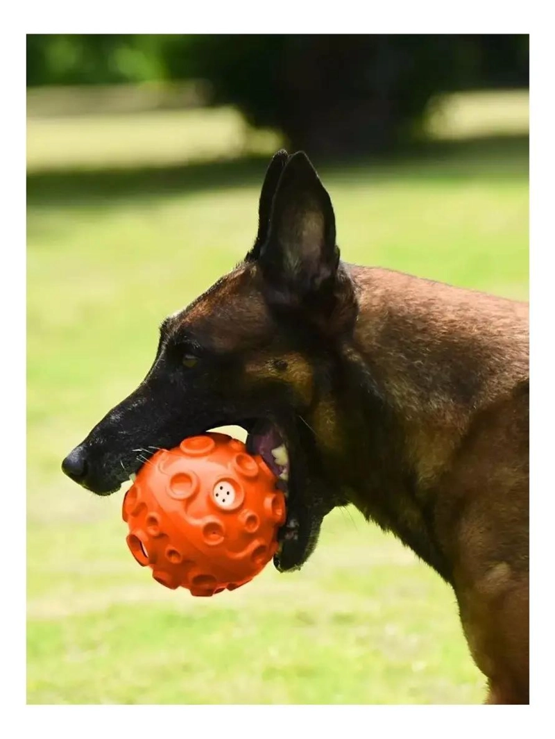 PELOTA INTERACTIVA PARA PERROS CON SONIDO DE 12CM - 6