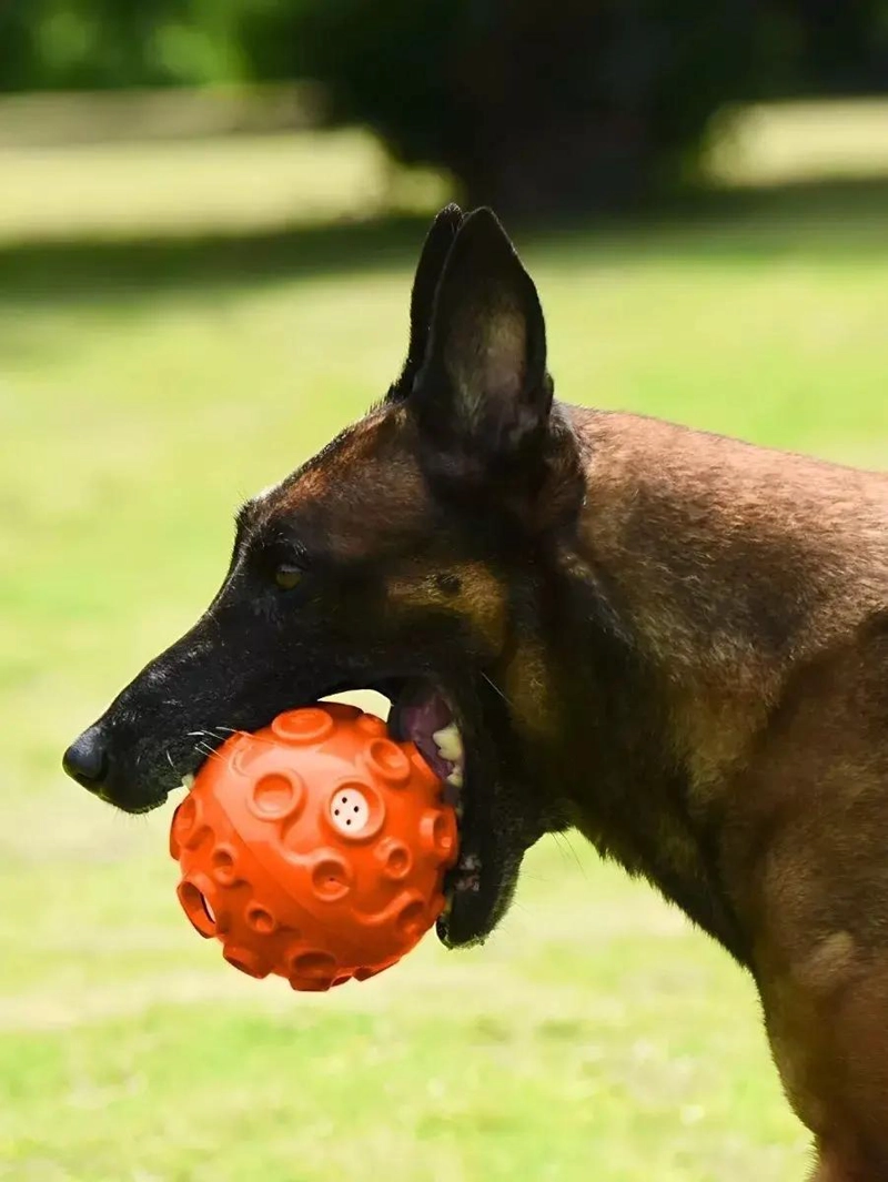 PELOTA INTERACTIVA PARA PERROS CON SONIDO DE 12CM - 5