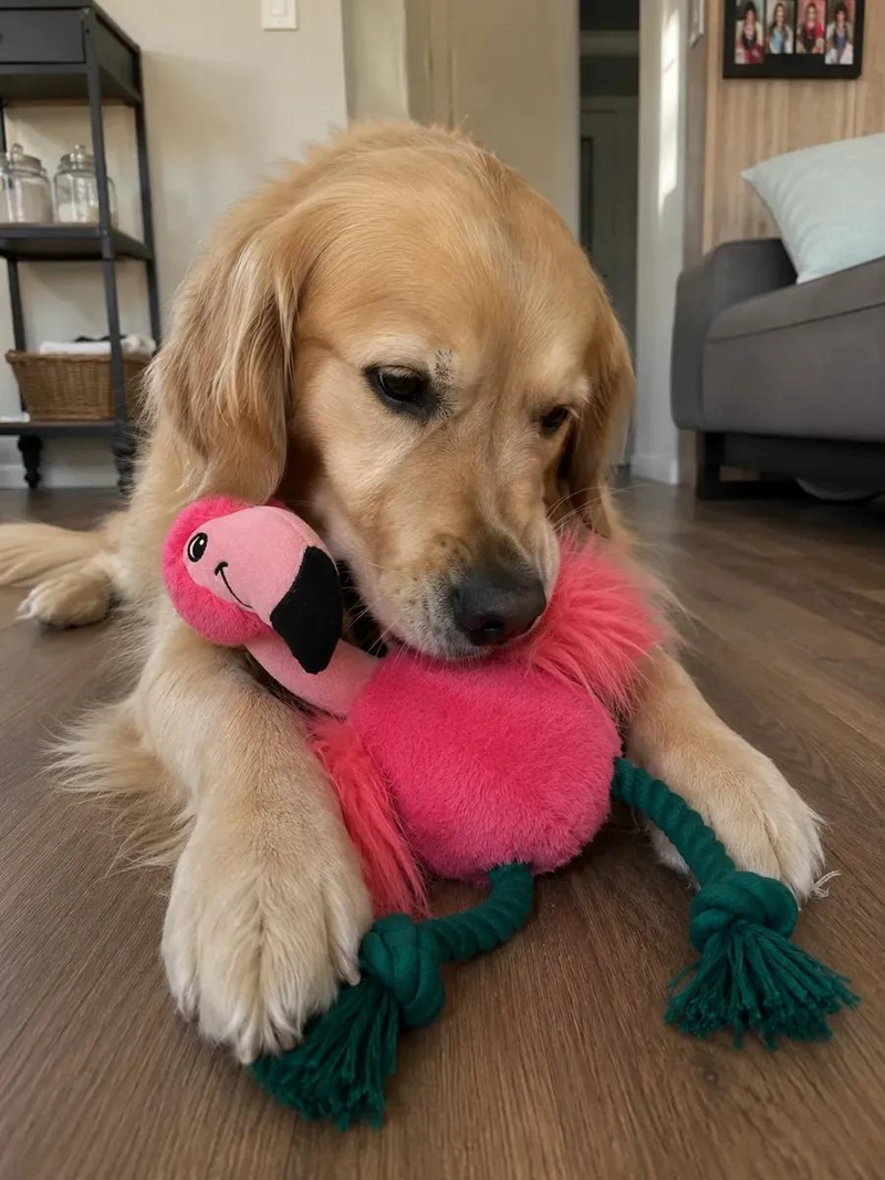 JUGUETE DE PELUCHE FLAMENCO PARA PERROS CON CUERDA ANUDADA - 2