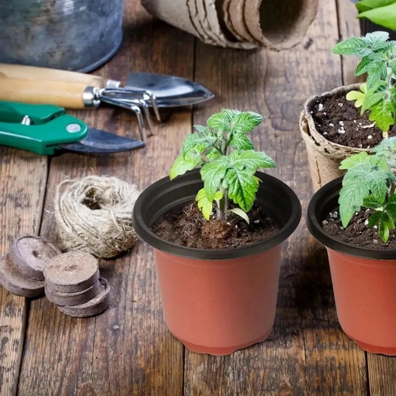 135 MACETAS DE PLASTICO TERRACOTA PARA VIVERO DE 9X8 CM - 6