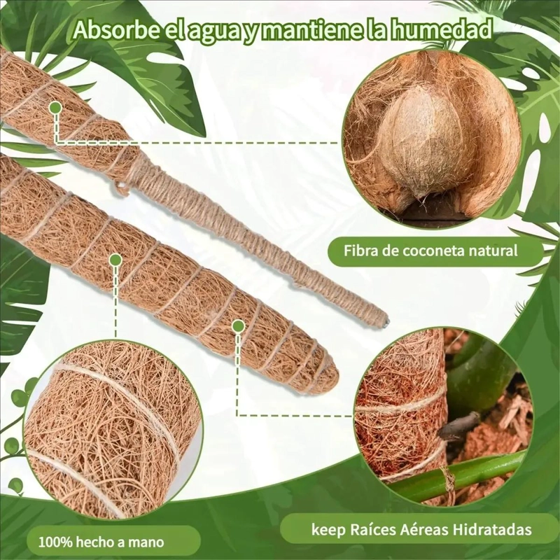 KIT DE 21 TUTORES DE FIBRA DE COCO PARA PLANTAS TREPADORAS - 5