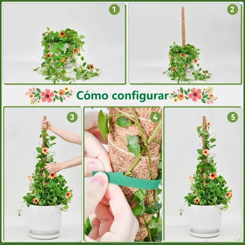 KIT DE 21 TUTORES DE FIBRA DE COCO PARA PLANTAS TREPADORAS - 6