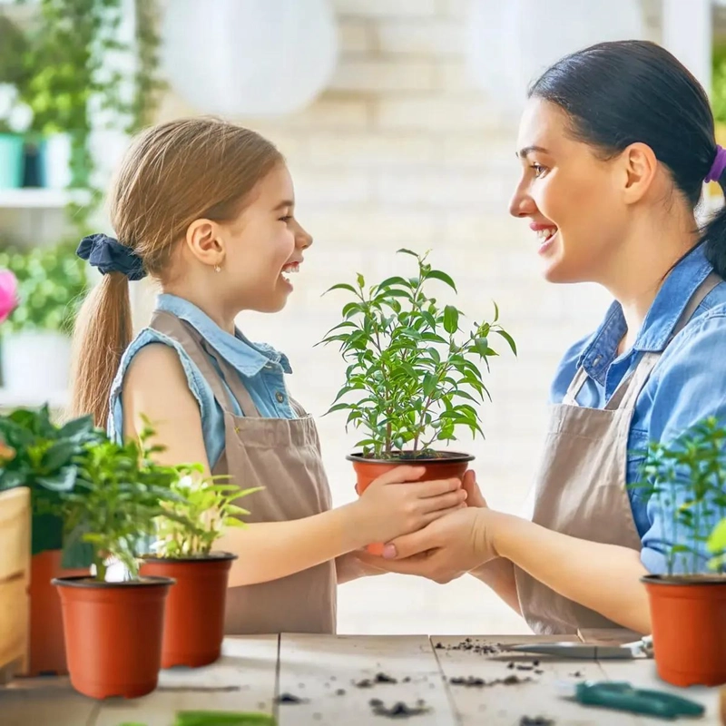 100 MACETAS DE PLASTICO PARA JARDIN DE 6 PULGADAS - 7