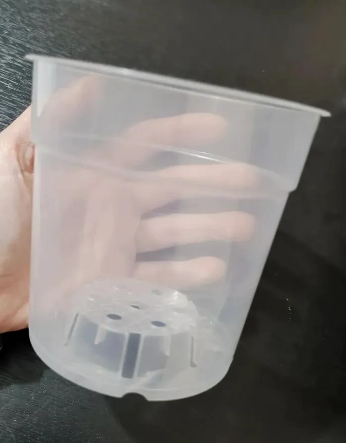 MACETEROS TRANSPARENTES PARA OBSERVACION DE RAICES 5 UNIDADES - 3