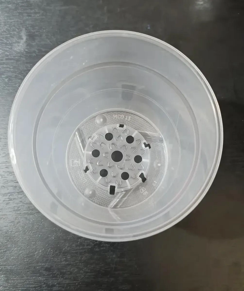 MACETEROS TRANSPARENTES PARA OBSERVACION DE RAICES 5 UNIDADES - 4
