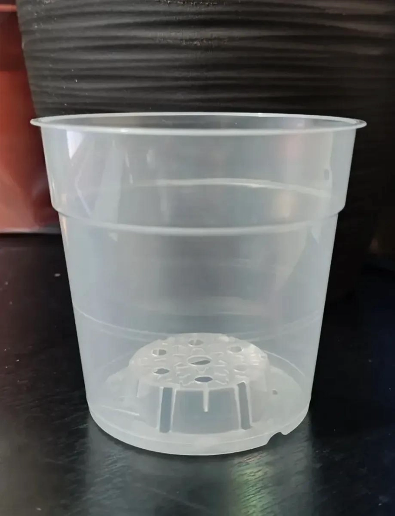 MACETEROS TRANSPARENTES PARA OBSERVACION DE RAICES 5 UNIDADES - 7