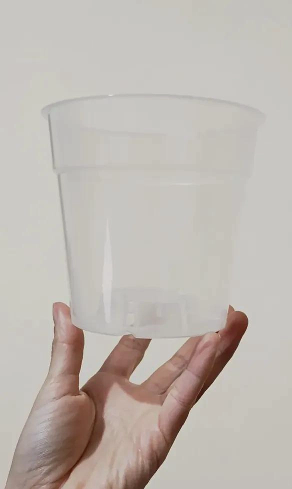 MACETEROS TRANSPARENTES PARA OBSERVACION DE RAICES 5 UNIDADES - 8