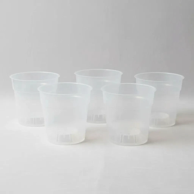 MACETEROS TRANSPARENTES PARA OBSERVACION DE RAICES 5 UNIDADES - 9