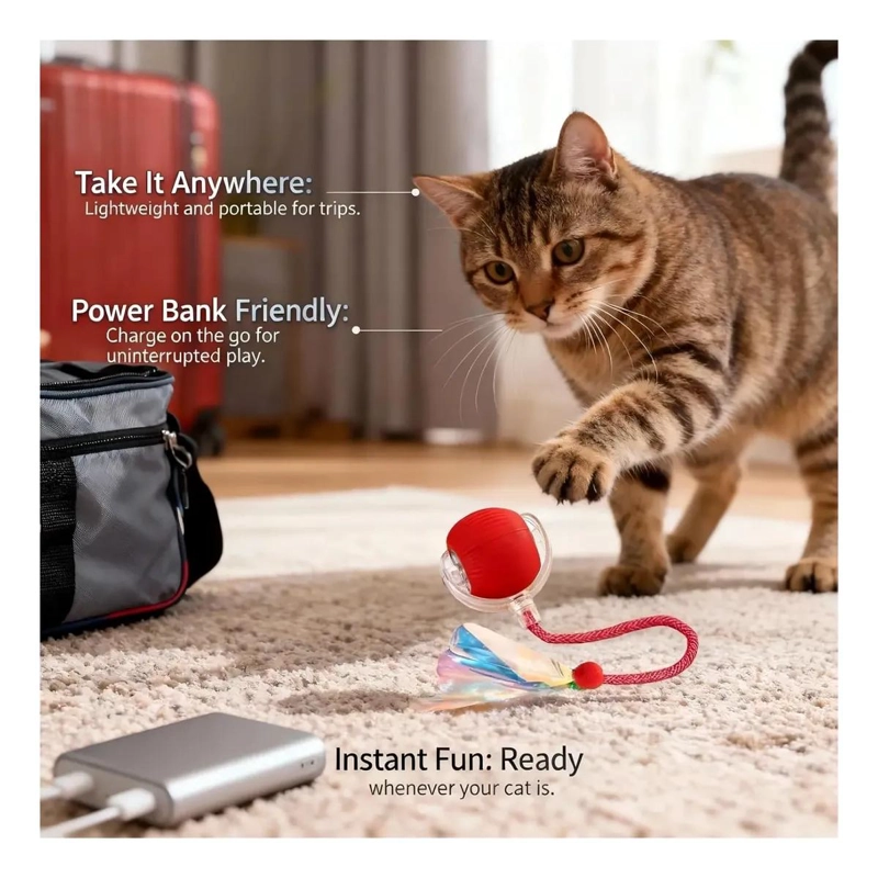 PELOTA INTERACTIVA LED RECARGABLE PARA MASCOTAS - 8