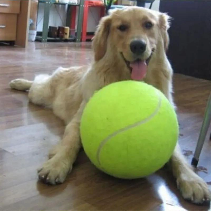 PELOTA DE TENIS GIGANTE DE 24 CM PARA PERROS GRANDES - 2