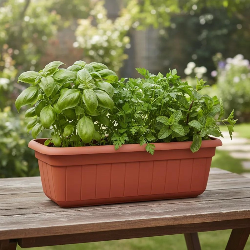 PACK DE 5 MACETEROS RECTANGULARES DE PLASTICO PARA JARDIN - 7
