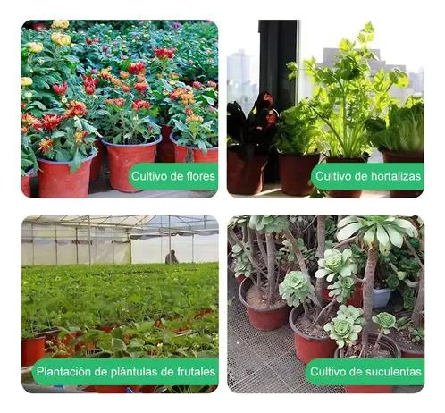 MACETAS DE PLASTICO PARA SEMILLEROS 135 UNIDADES 8.8X7.5CM - 8