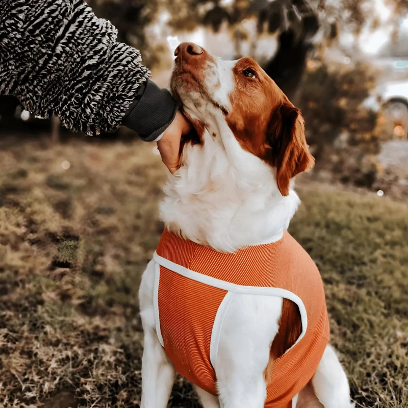 BODY COBRE TRADICIONAL PARA PERROS Y GATOS TALLA 4 (6 A 7.5 KG) - 1