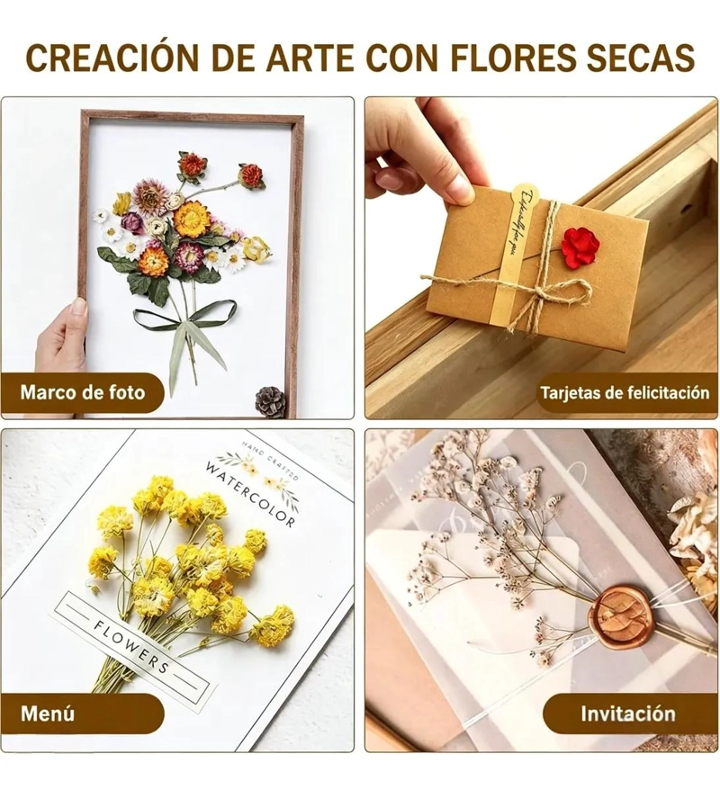 KIT DE PRENSADO DE FLORES Y PLANTAS PARA MANUALIDADES - 7