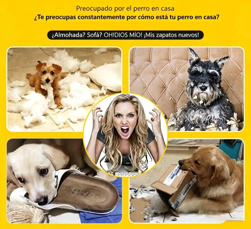 SET DE 4 JUGUETES DE CUERDA RESISTENTES PARA PERROS - 3