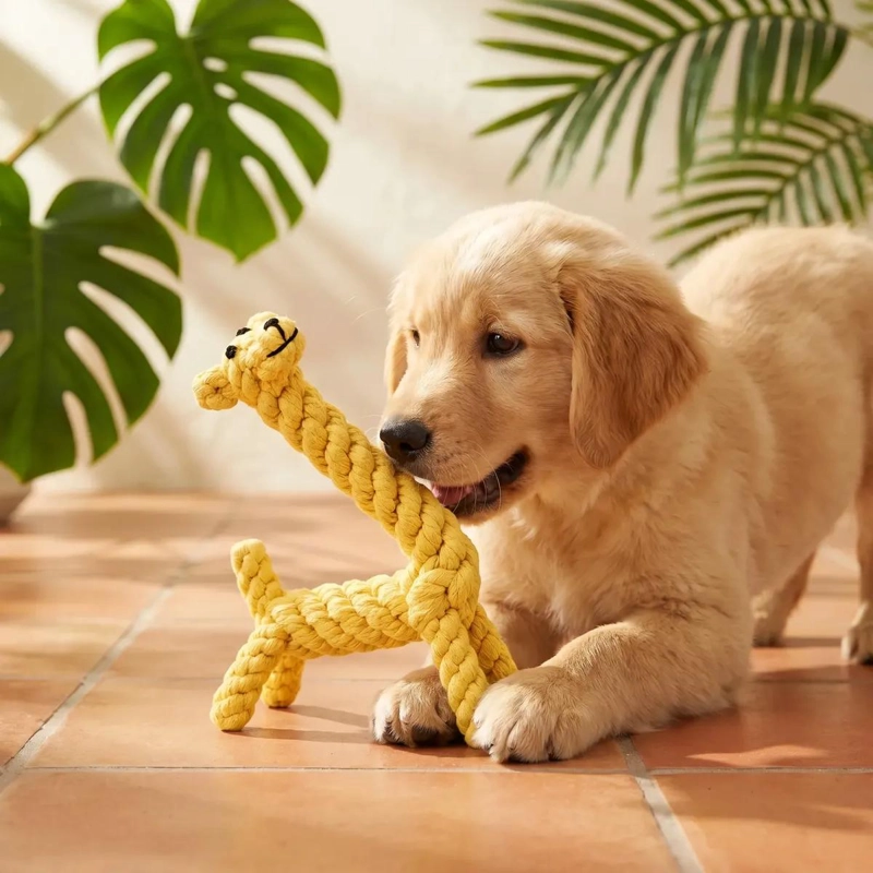 SET DE 4 JUGUETES DE CUERDA RESISTENTES PARA PERROS - 8