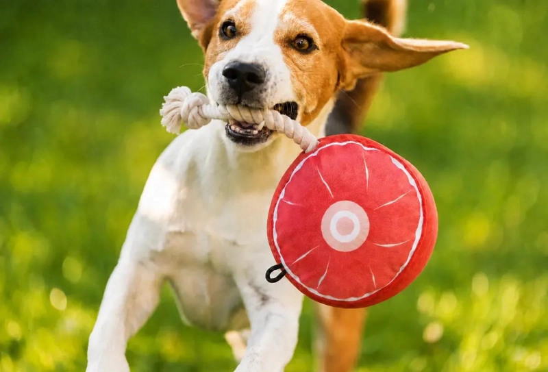 JUGUETE DE PELUCHE CON CUERDA PARA PERROS MEDIANOS Y GRANDES - 2