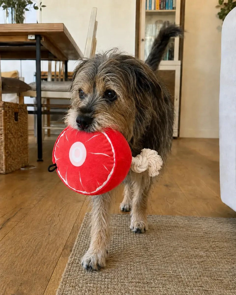 JUGUETE DE PELUCHE CON CUERDA PARA PERROS MEDIANOS Y GRANDES - 3
