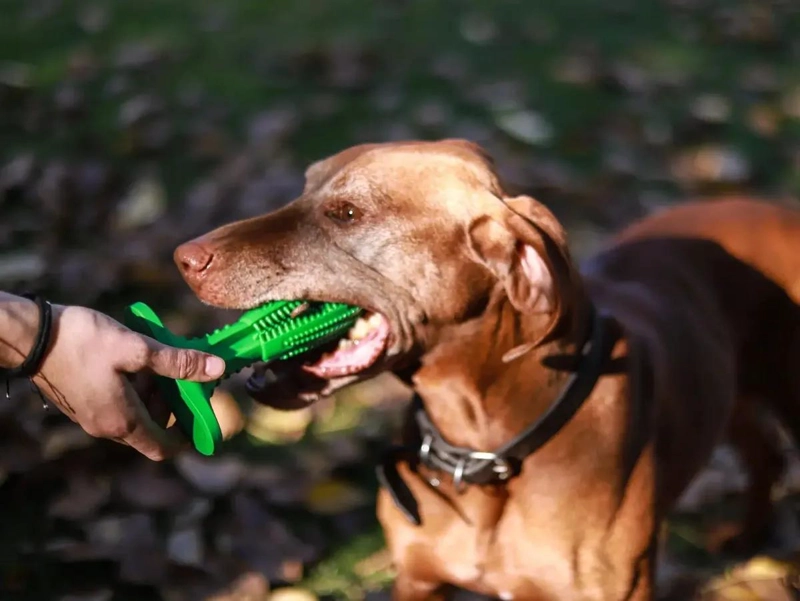 MORDEDOR DENTAL ECOLOGICO PARA PERROS CON SABOR A MENTA - 4