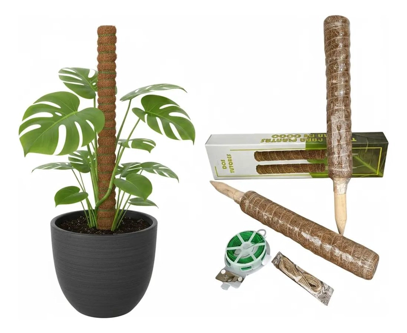 SET DE TUTORES DE COCO EXTENSIBLES PARA PLANTAS DE 40 CM - 2