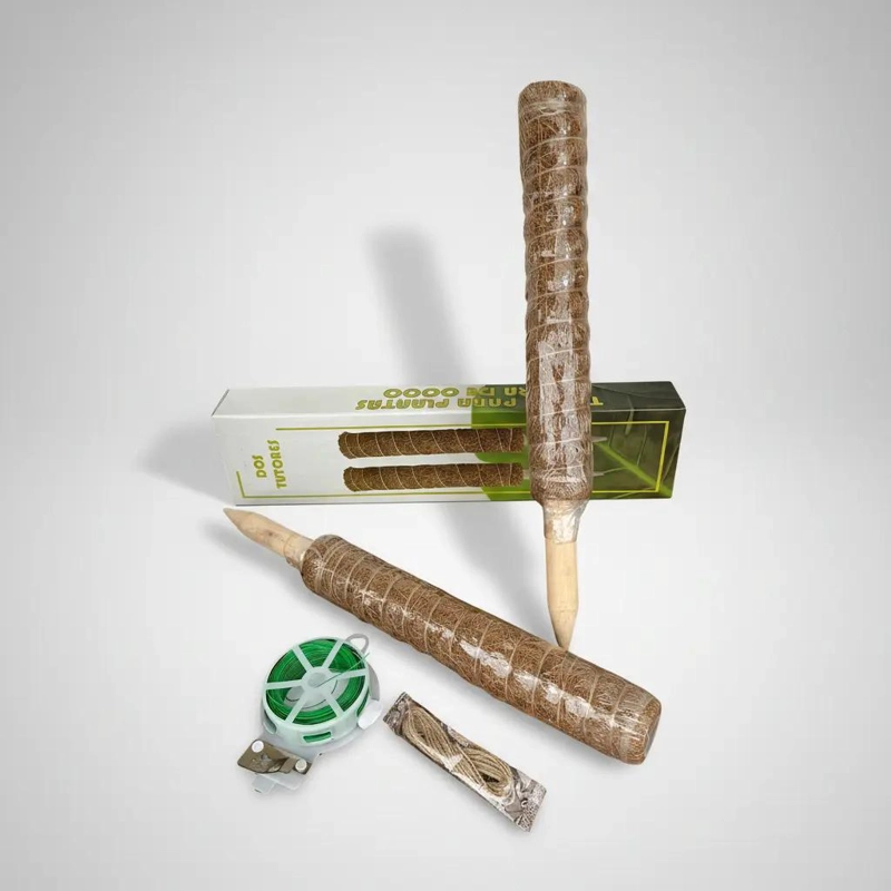 SET DE TUTORES DE COCO EXTENSIBLES PARA PLANTAS DE 40 CM - 4