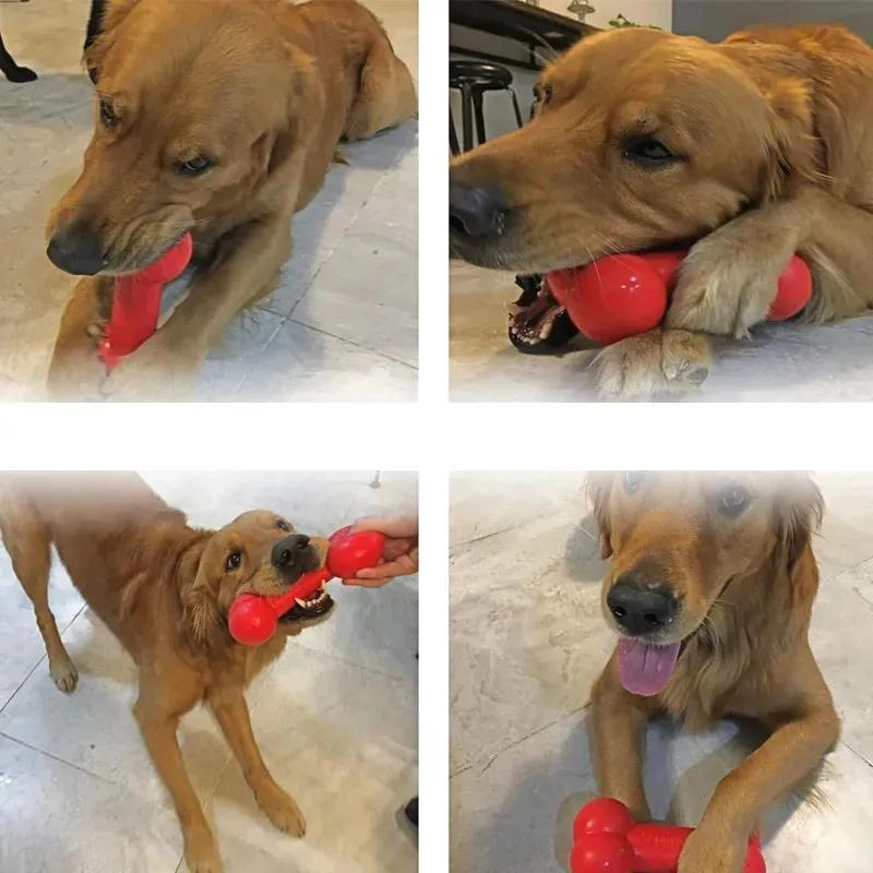 HUESO DE JUGUETE PARA PERRO RESISTENTE COLOR ROJO 20 CM - 4