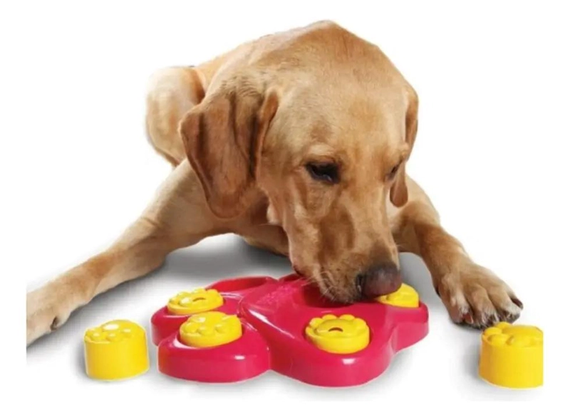 DISPENSADOR INTERACTIVO DE ALIMENTOS Y PREMIOS PARA MASCOTAS - 3