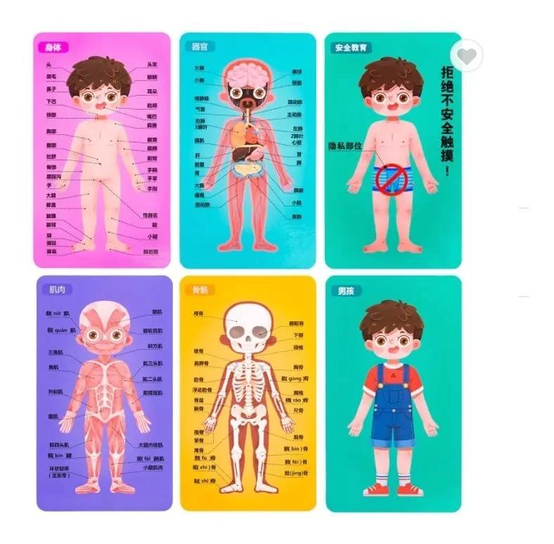 ROMPECABEZAS EDUCATIVO DE MADERA PARTES DEL CUERPO - 4