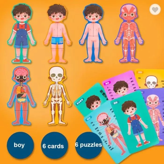 ROMPECABEZAS EDUCATIVO DE MADERA PARTES DEL CUERPO - 5