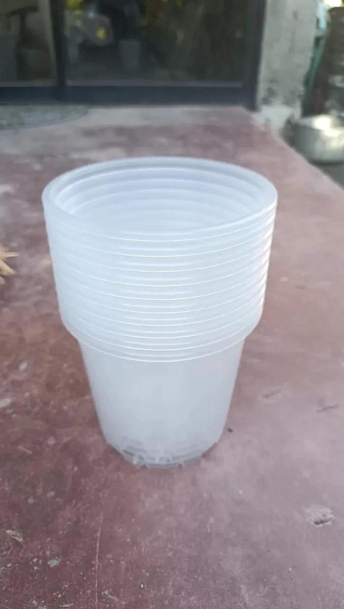 MACETEROS TRANSPARENTES PARA OBSERVACION DE RAICES 5 UNIDADES - 6