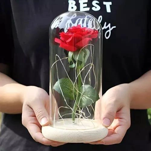 ROSA ETERNA CON LUZ LED EN CUPULA DE CRISTAL DECORATIVA - 6