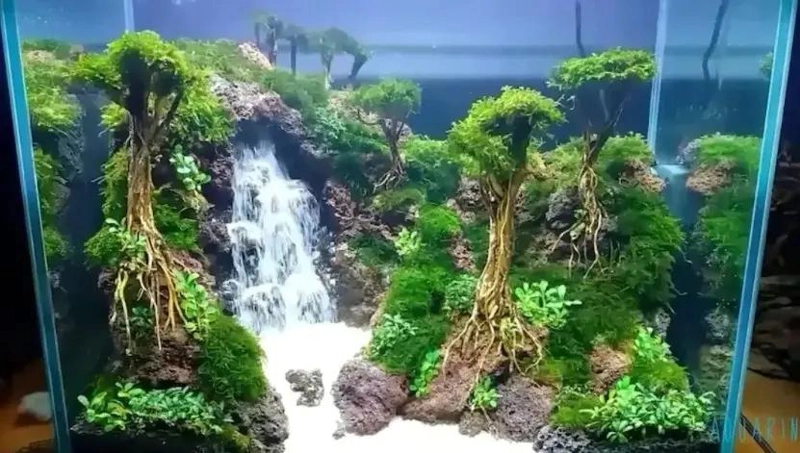 ARENA FINA DE CUARZO PARA DECORACION DE ACUARIOS Y MANUALIDADES - 5
