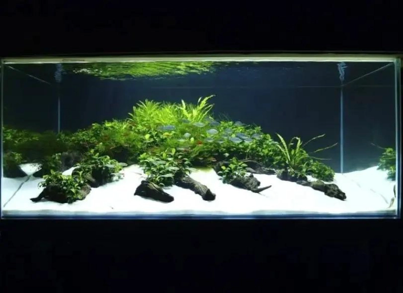 ARENA FINA DE CUARZO PARA DECORACION DE ACUARIOS Y MANUALIDADES - 7