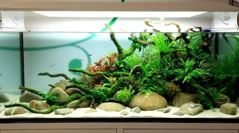 ARENA FINA DE CUARZO PARA DECORACION DE ACUARIOS Y MANUALIDADES - 8