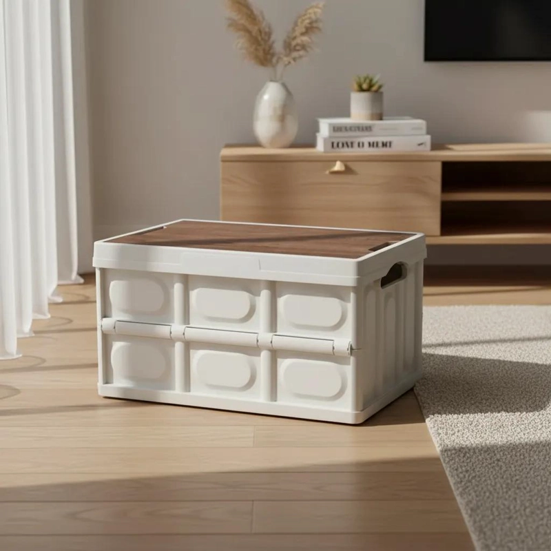 CAJA ORGANIZADORA PLEGABLE 30 LITROS CON FUNDA IMPERMEABLE - 1