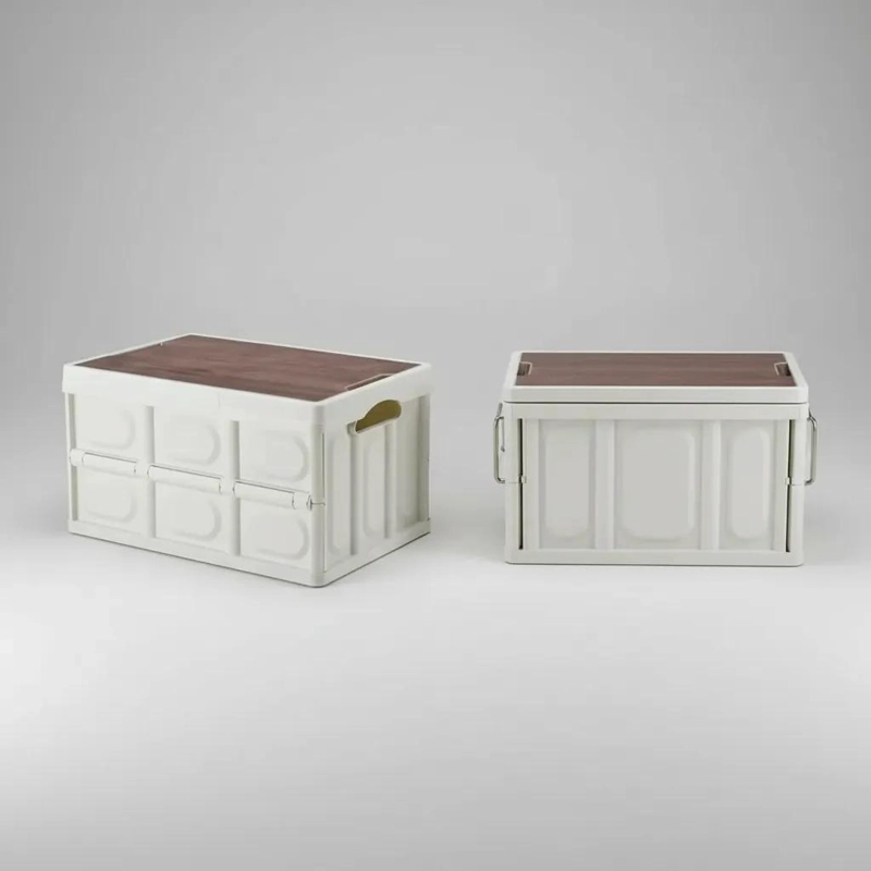 CAJA ORGANIZADORA PLEGABLE 30 LITROS CON FUNDA IMPERMEABLE - 10