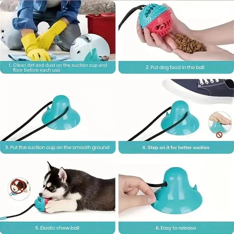 PELOTA INTERACTIVA CON CUERDA Y VENTOSA PARA PERROS - 3