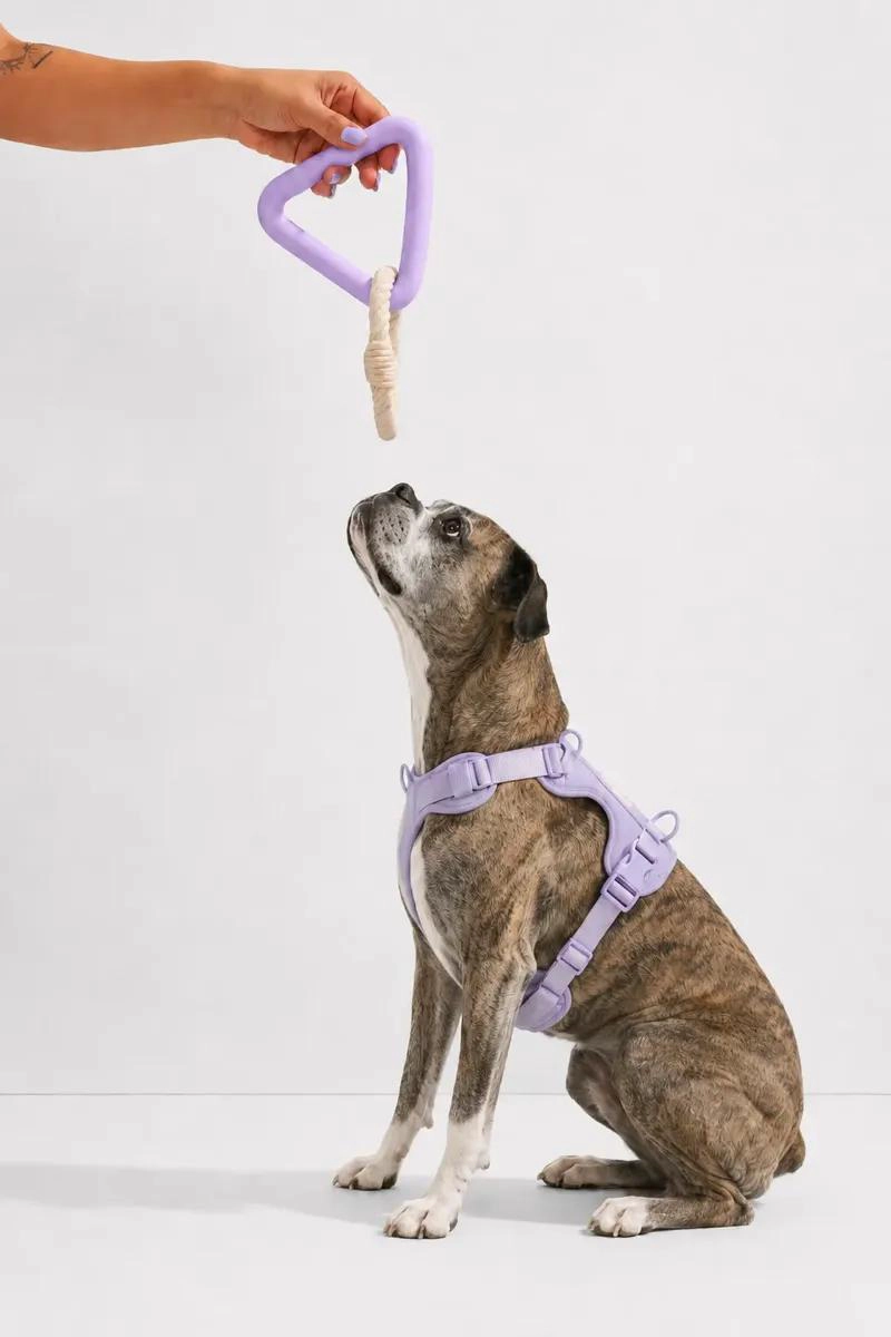 JUGUETE TRIANGULO DE GOMA Y CUERDA PARA PERROS PEQUEÑOS - 1