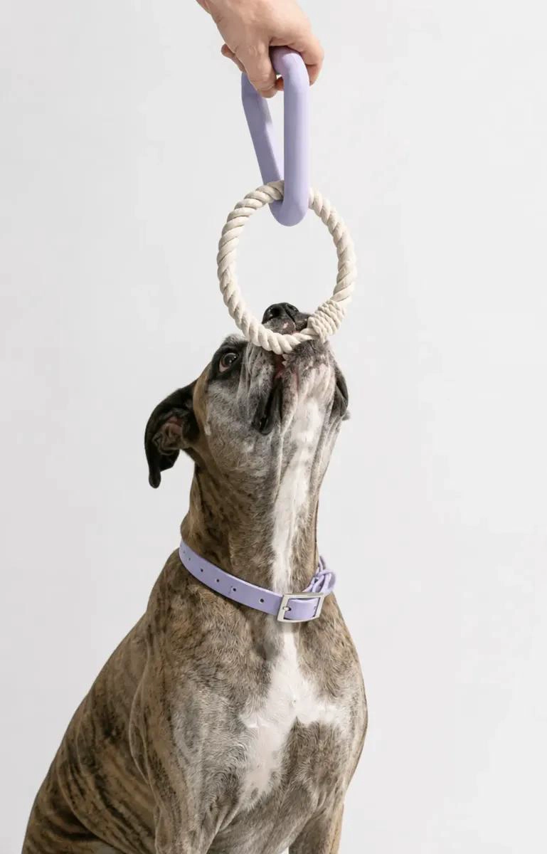 JUGUETE TRIANGULO DE GOMA Y CUERDA PARA PERROS PEQUEÑOS - 2