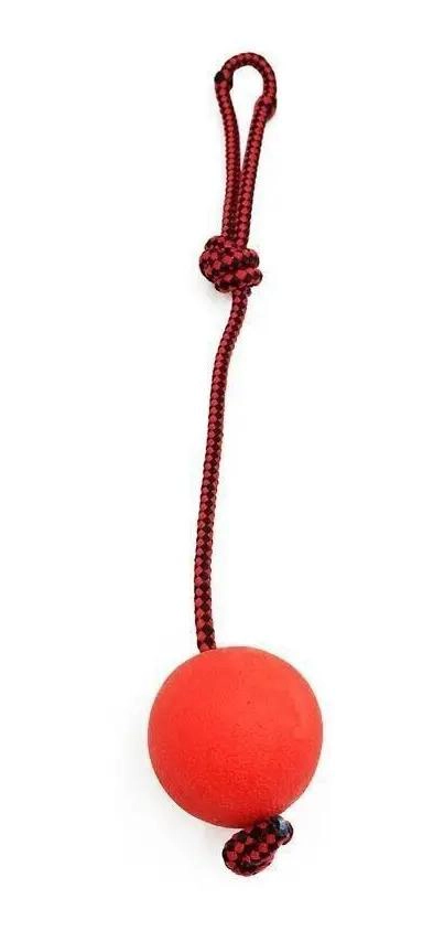 PELOTA DE ENTRENAMIENTO RESISTENTE PARA PERROS Y CACHORROS - 1