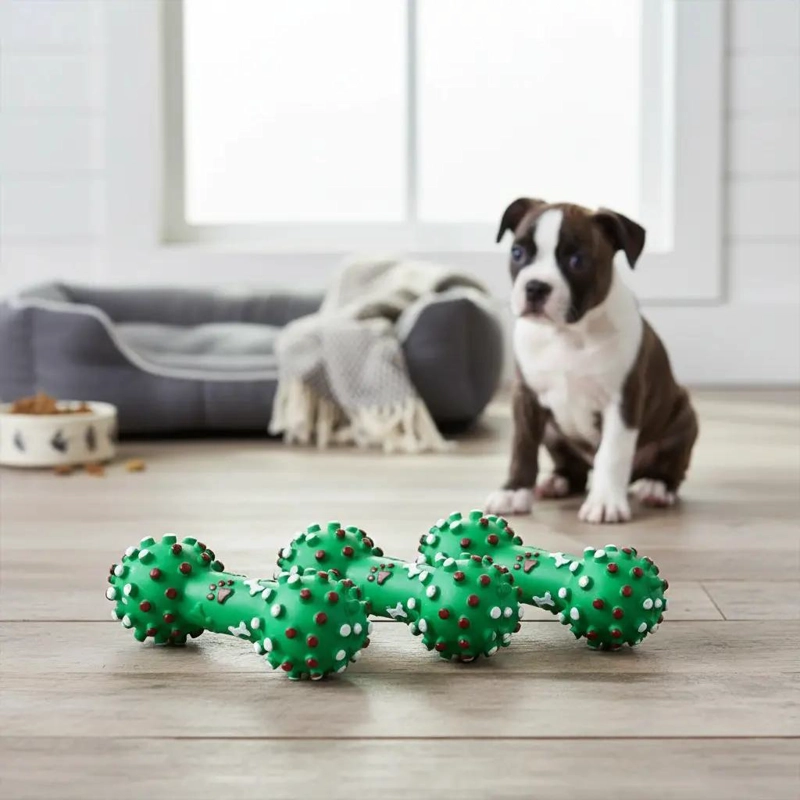 SET DE 4 PELOTAS COLORIDAS PARA PERROS CON SONIDO - 1