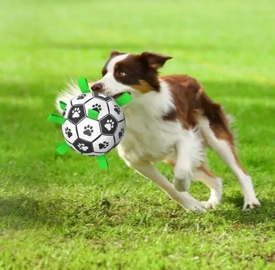 PELOTA INTERACTIVA PARA PERROS DE 15 CM CON AGARRE - 2