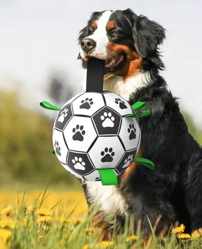 PELOTA INTERACTIVA PARA PERROS CON BOMBIN INFLADOR - 2