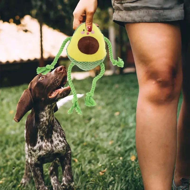 PELUCHE INTERACTIVO PARA PERROS CON CUERDA VERDE - 5