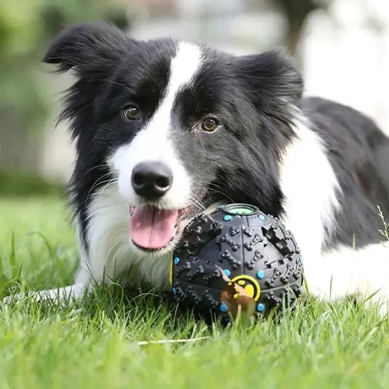 PELOTA DISPENSADORA DE ALIMENTO PARA PERROS COLOR CELESTE - 4
