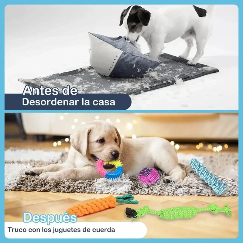 SET DE 10 JUGUETES DIVERSOS PARA PERROS Y MASCOTAS - 2